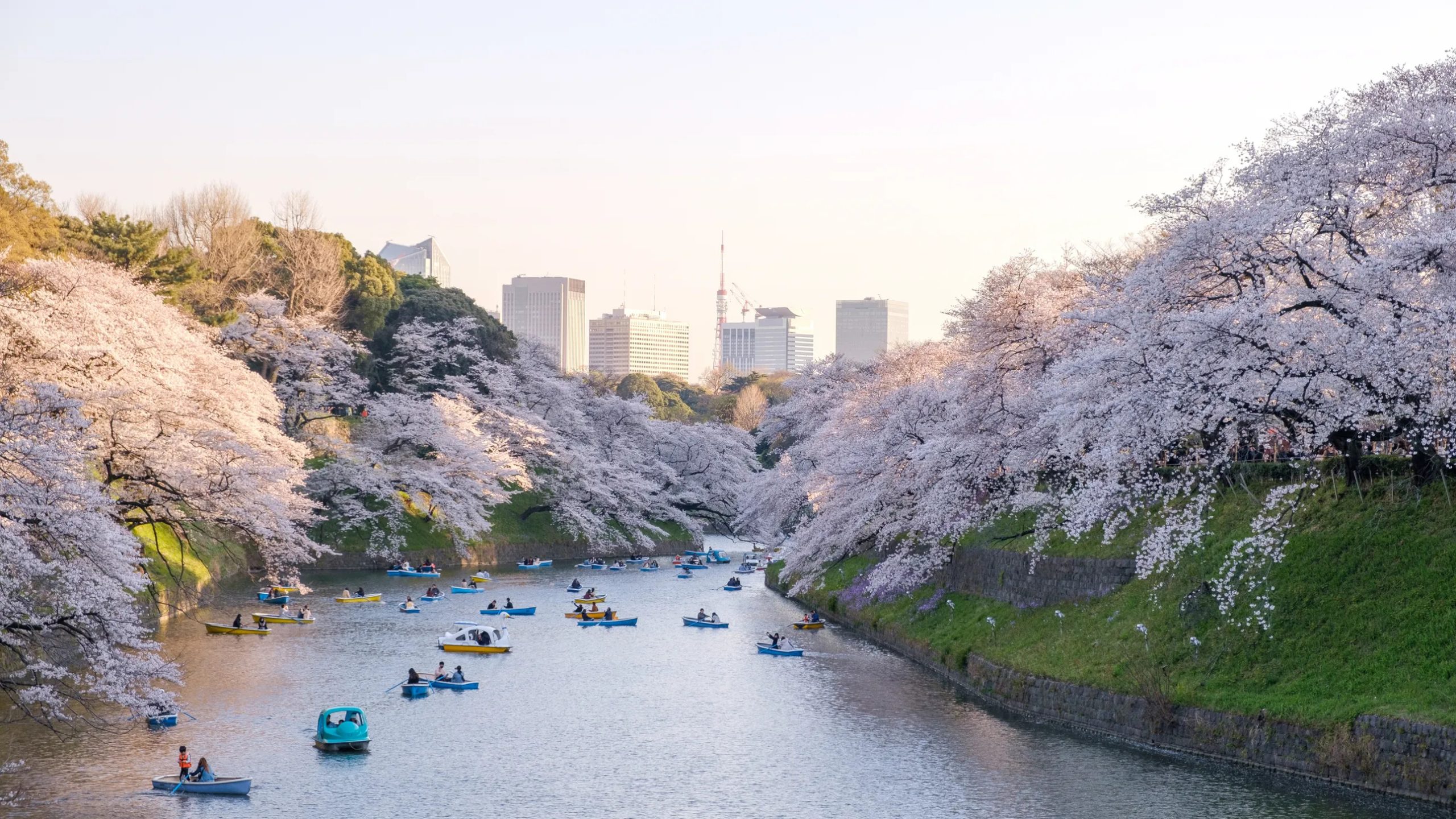 Japan